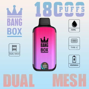 Bang Box 18000 Puffs